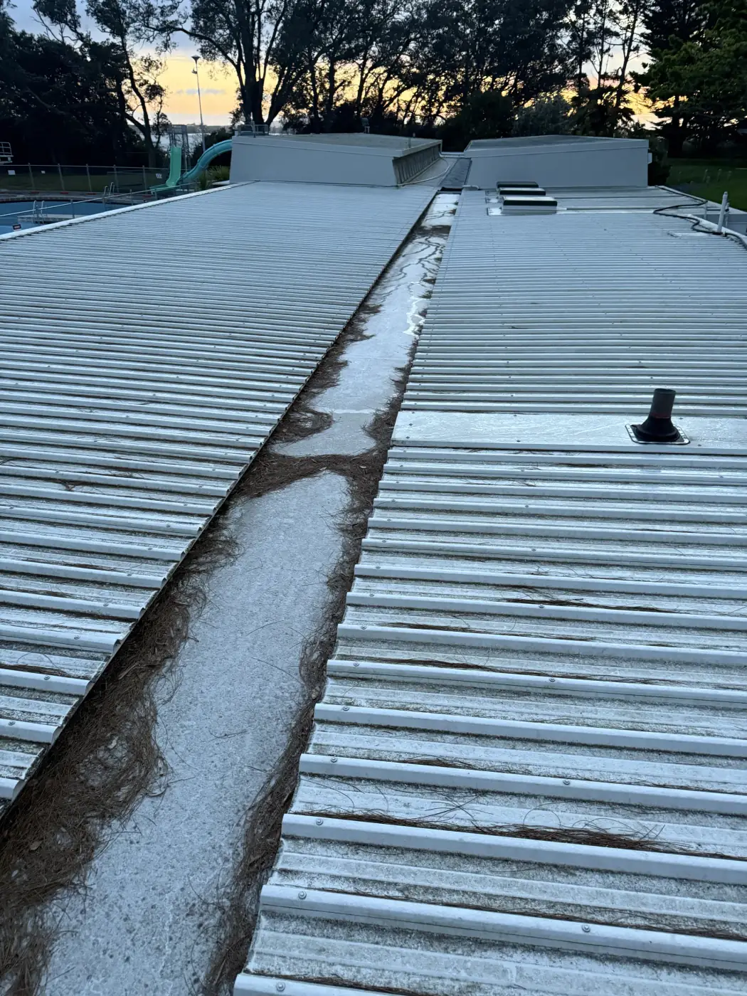 Roof and exterior surfaces being soft washed to lift moss and built-up grime